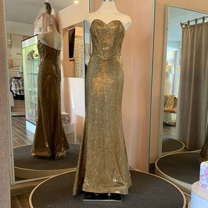 Nina Canacci Prom Gown, Special Occassion …